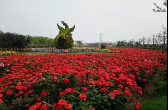 1564727467610016871.jpg 5.jpg