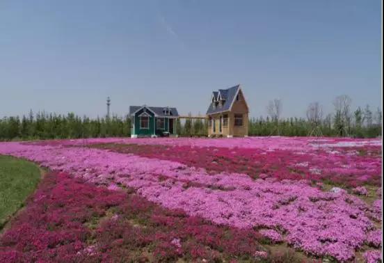 1564727487614090075.jpg 7.jpg