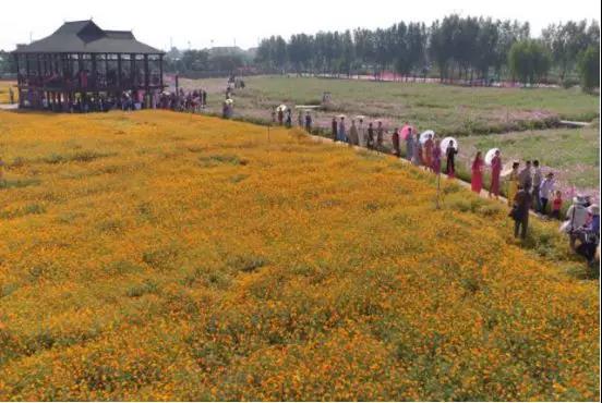 1564727499076022629.jpg 8.jpg