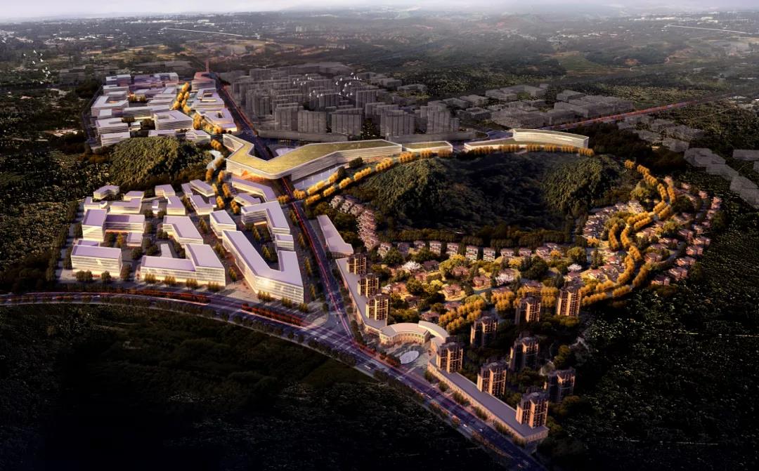 1586757750953089461.jpg 2.jpg