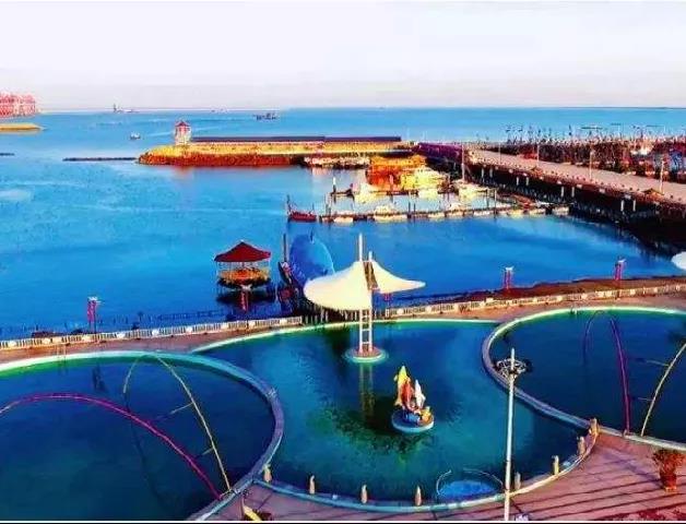 1586757805203033465.jpg 8.jpg