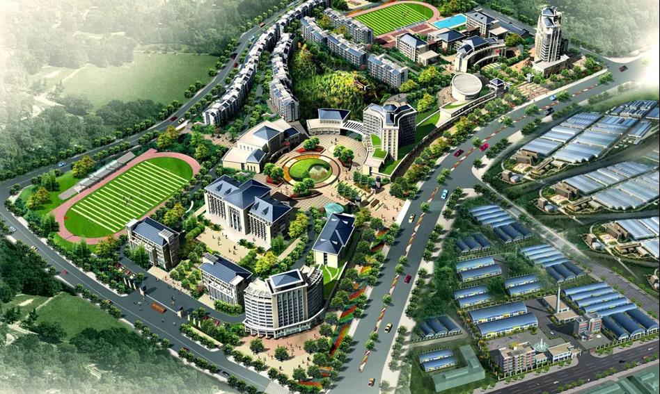 1586757828143051427.jpg 11.jpg