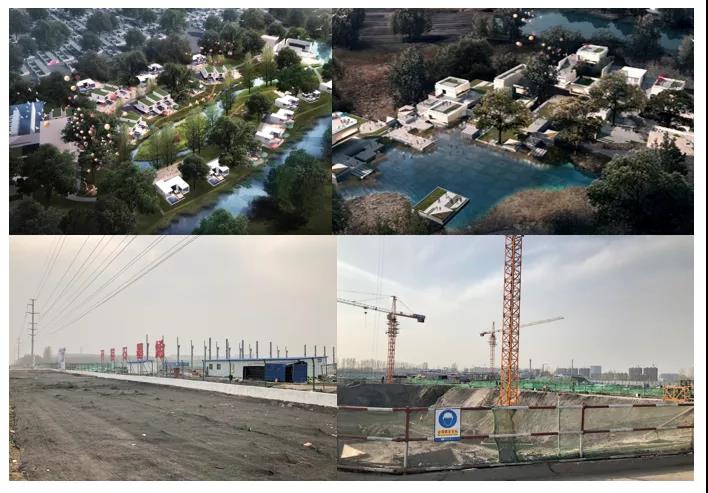 1586757864829030363.jpg 15.jpg