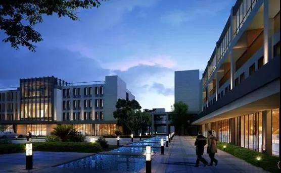 1591845329864068057.jpg 6.jpg