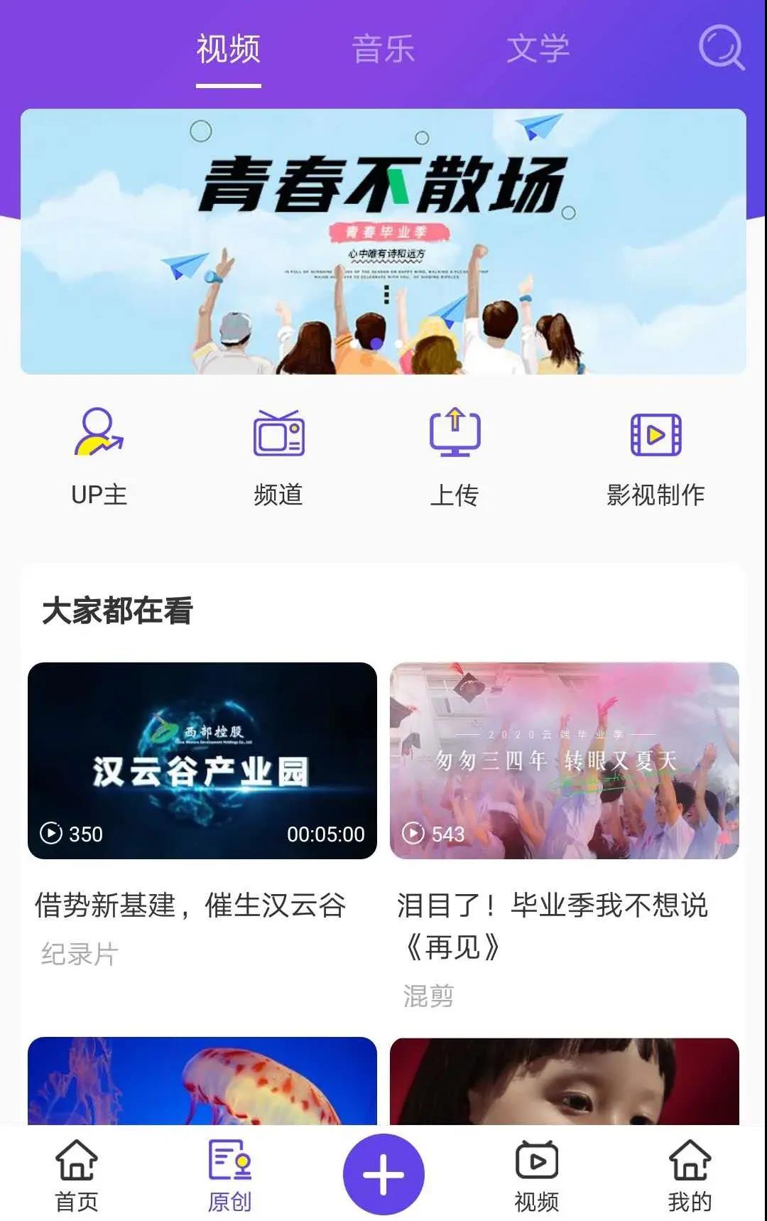 1594698636988053986.jpg 8.jpg